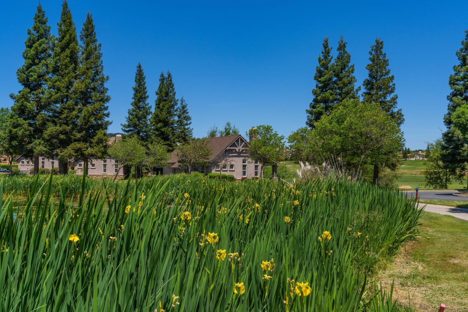 171 Quail Meadow Ct, Copperopolis, CA 95228