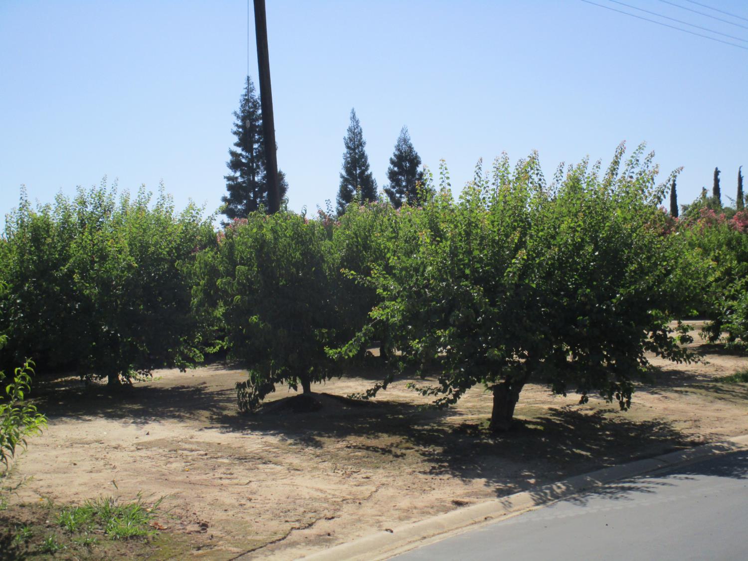 1500 Held Dr #94, Modesto, CA 95355