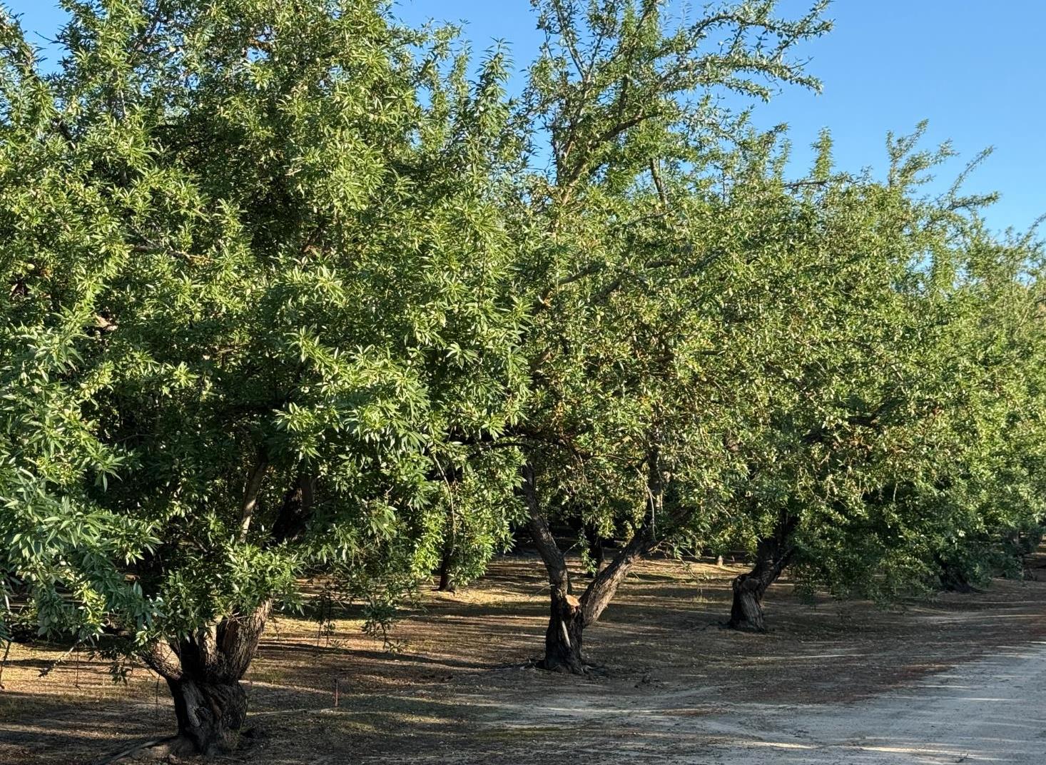 2700 North Ave, Modesto, CA 9535