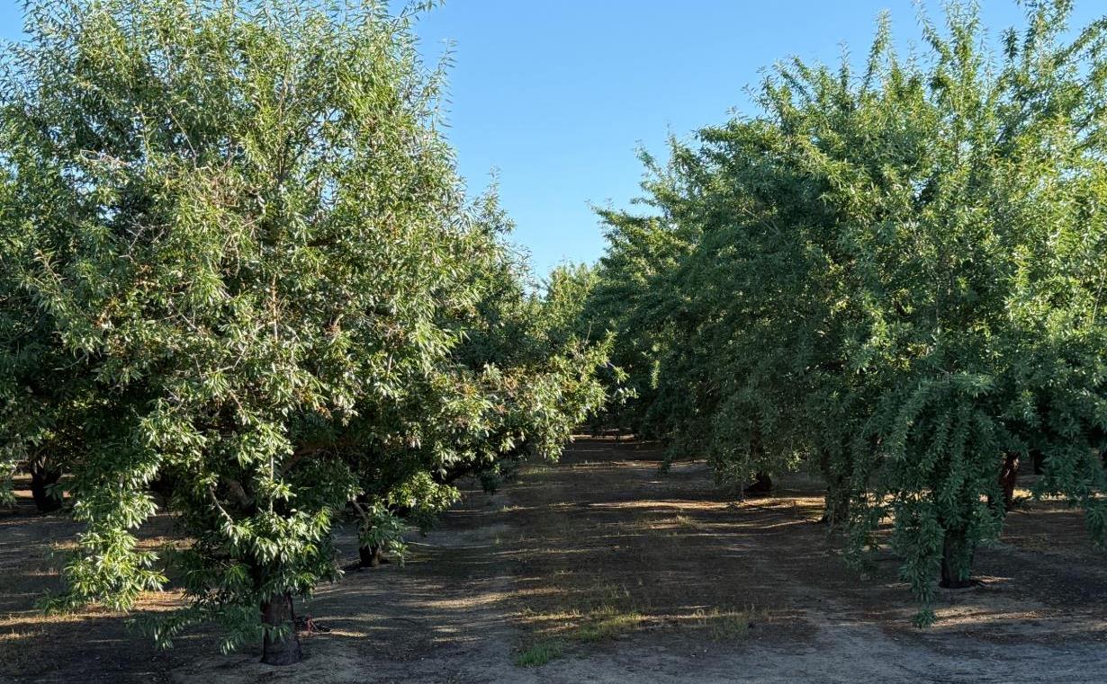 2700 North Ave, Modesto, CA 9535