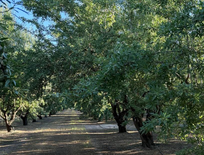 2700 North Ave, Modesto, CA 9535
