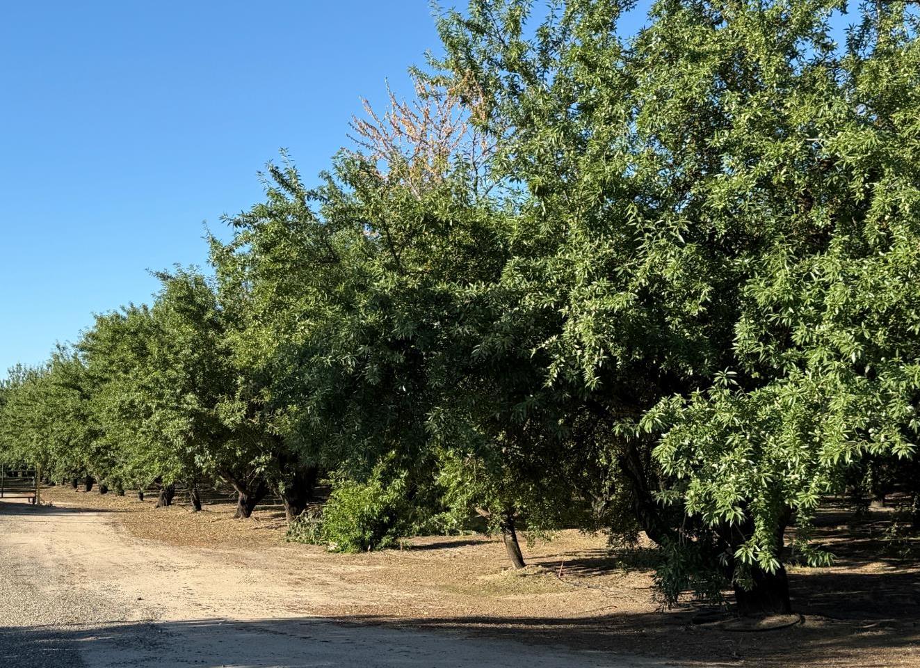 2700 North Ave, Modesto, CA 9535