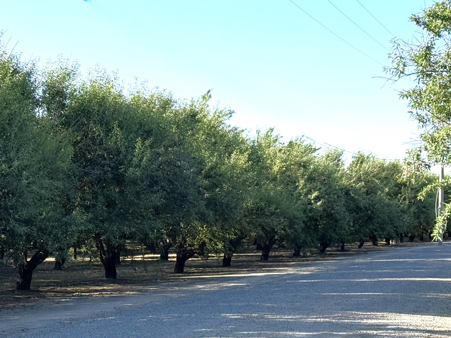 2700 North Ave, Modesto, CA 9535