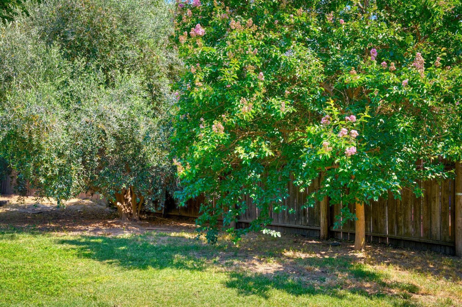 3020 Farris Ave, Ceres, CA 95307