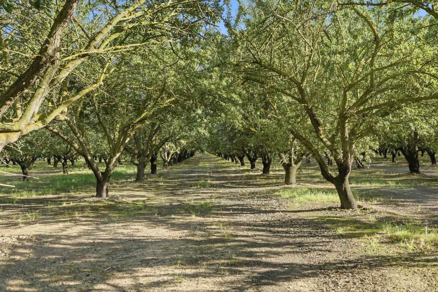 18401 S Carrolton, Ripon, CA 95366