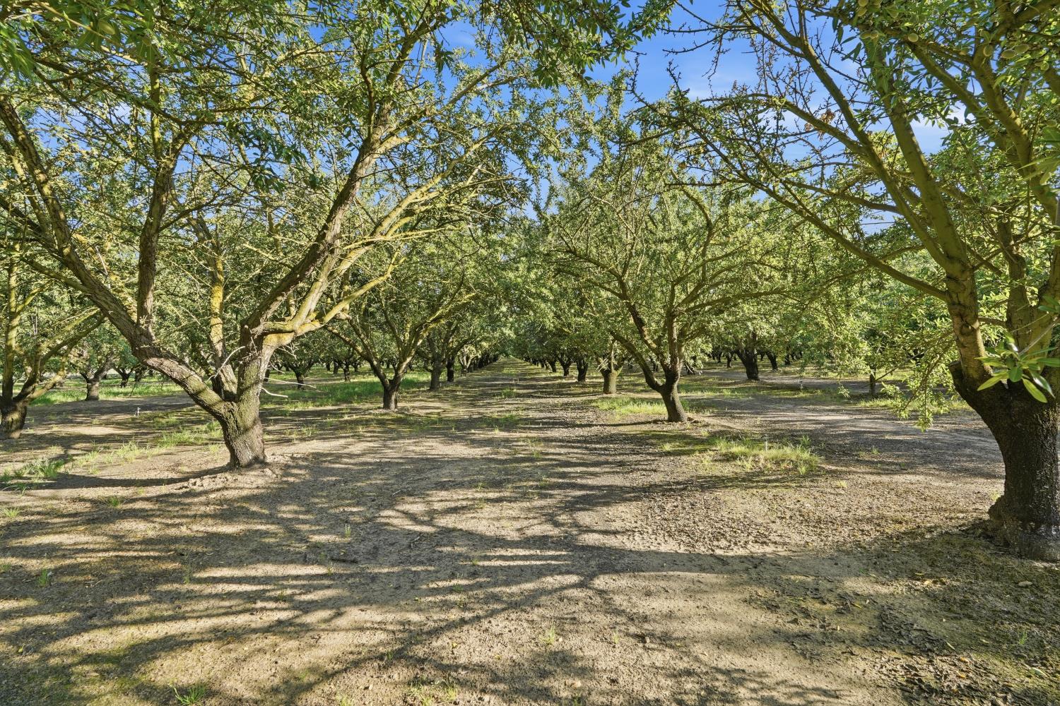 18401 S Carrolton, Ripon, CA 95366
