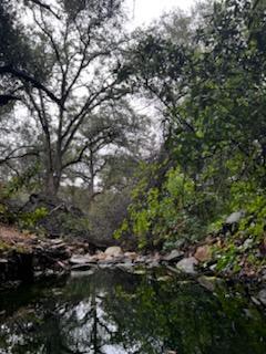 3631 Guadalupe Creek Rd, Mariposa, CA 95338