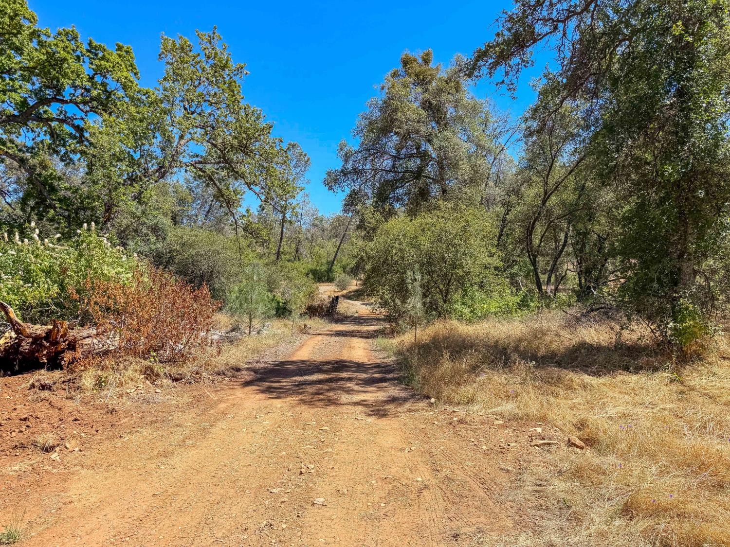 3631 Guadalupe Creek Rd, Mariposa, CA 95338