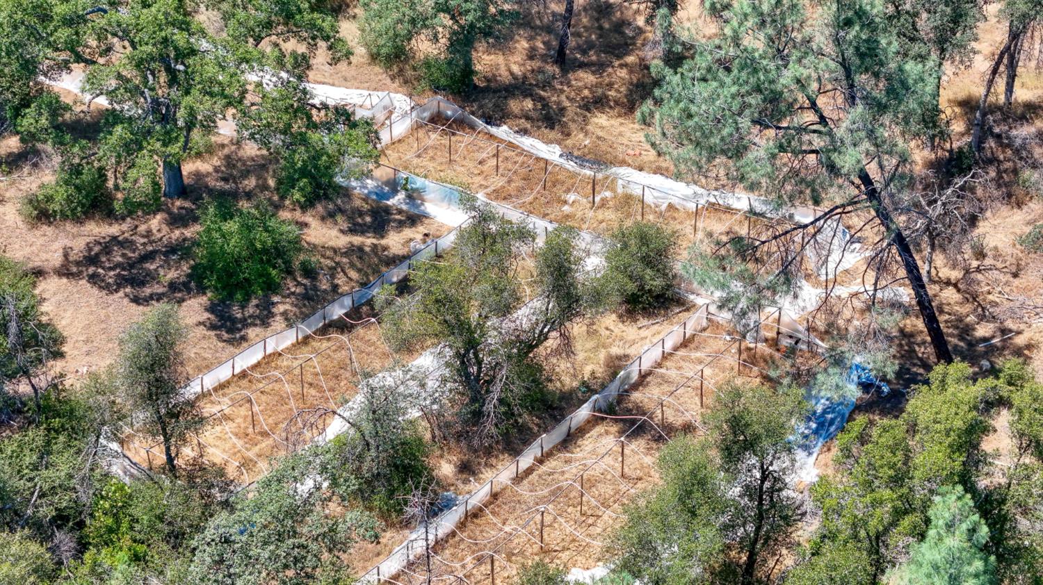 3631 Guadalupe Creek Rd, Mariposa, CA 95338