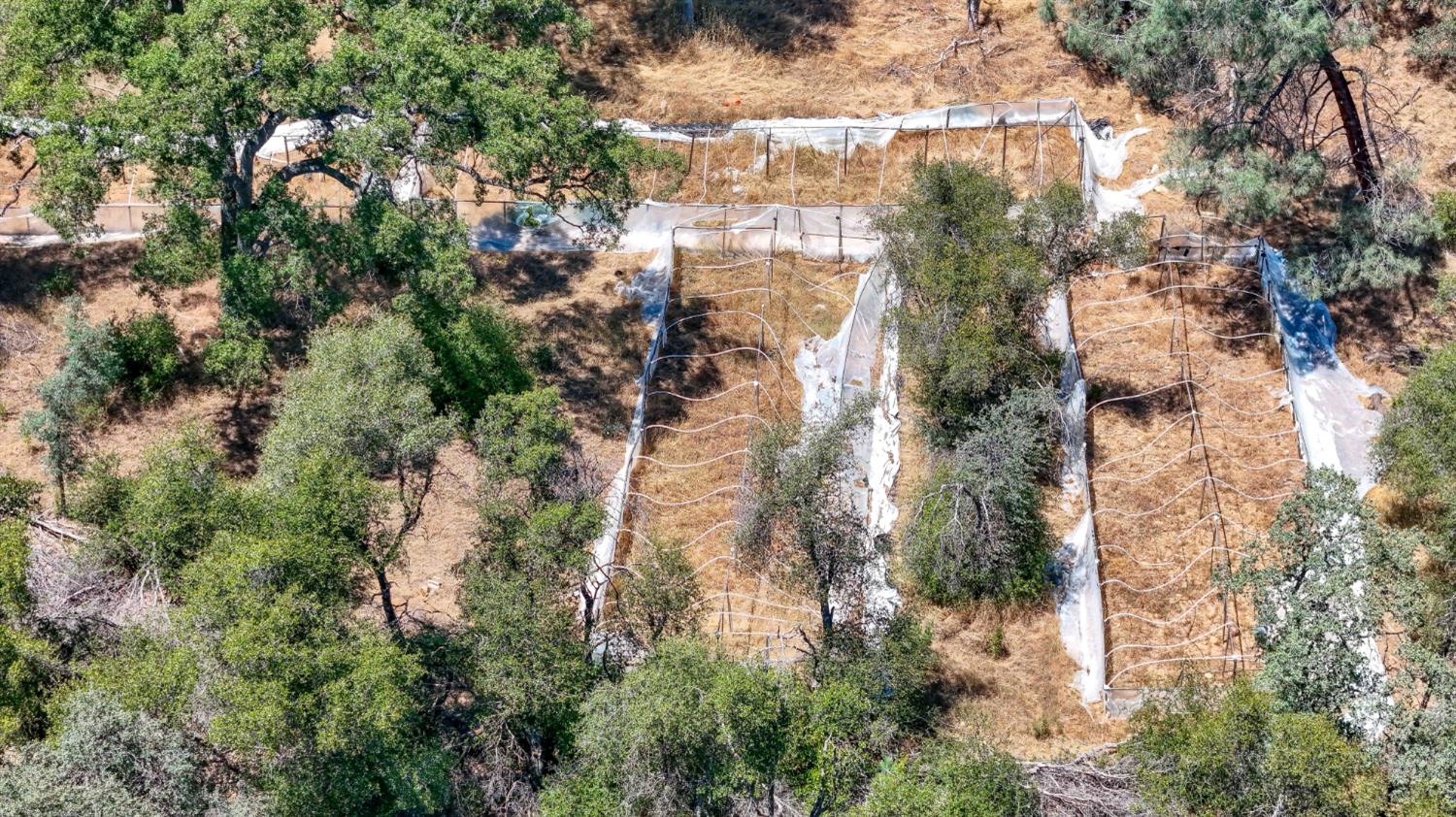 3631 Guadalupe Creek Rd, Mariposa, CA 95338