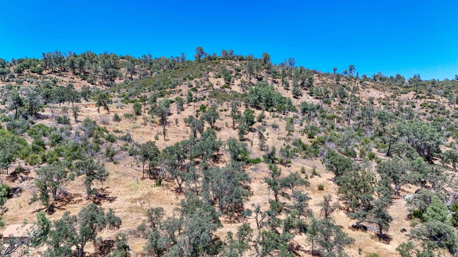 3631 Guadalupe Creek Rd, Mariposa, CA 95338