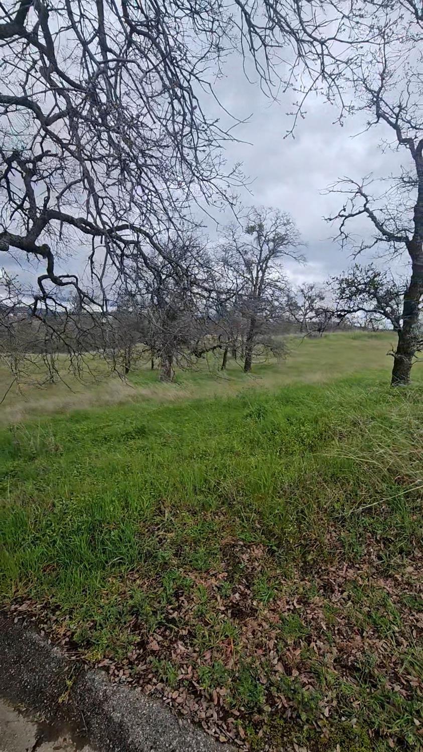 2275 Buena Vista Dr, La Grange, CA 95329