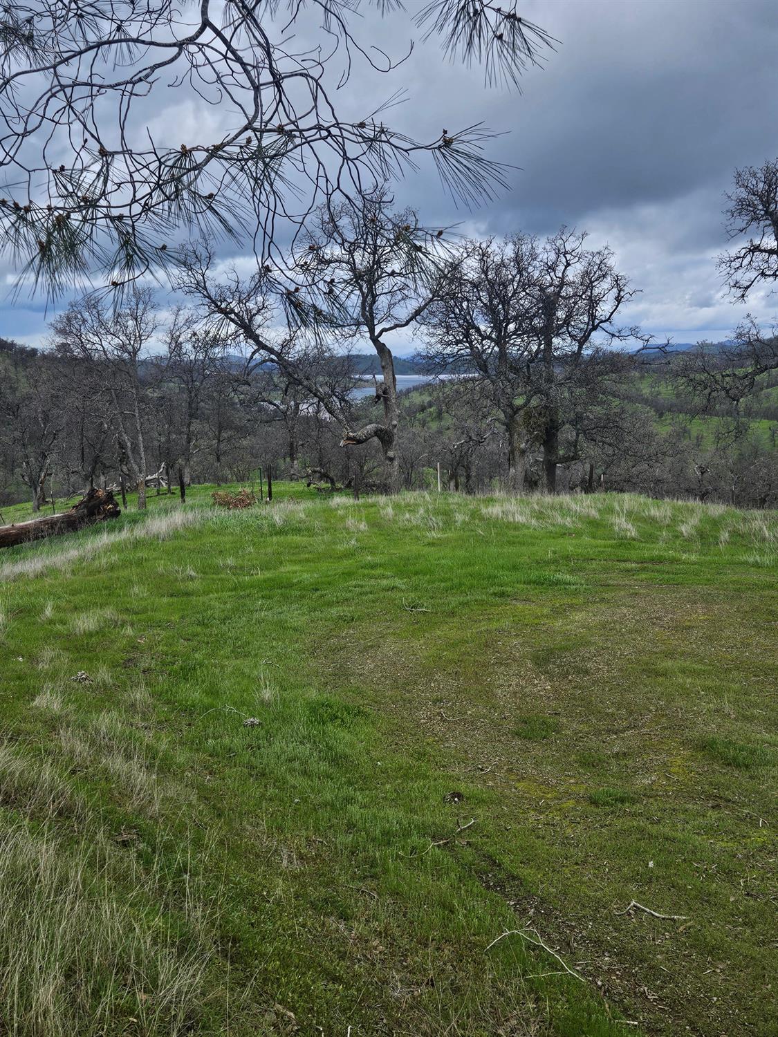 2275 Buena Vista Dr, La Grange, CA 95329