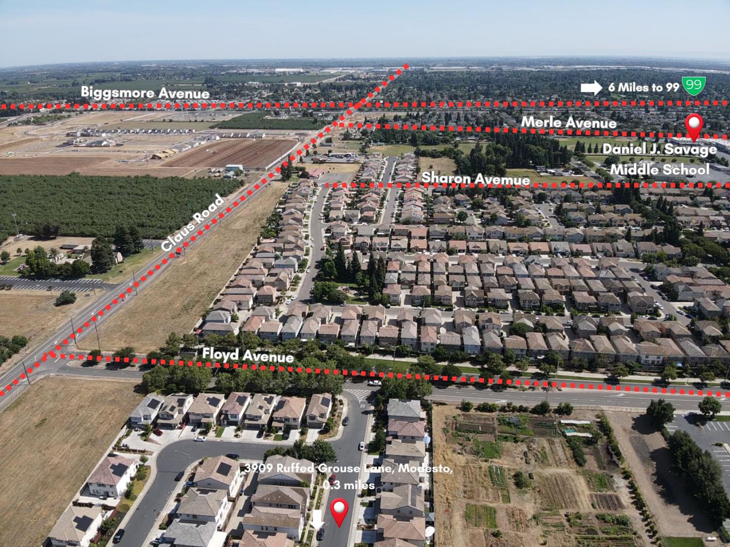 3909 Ruffed Grouse Ln, Modesto, CA 95355