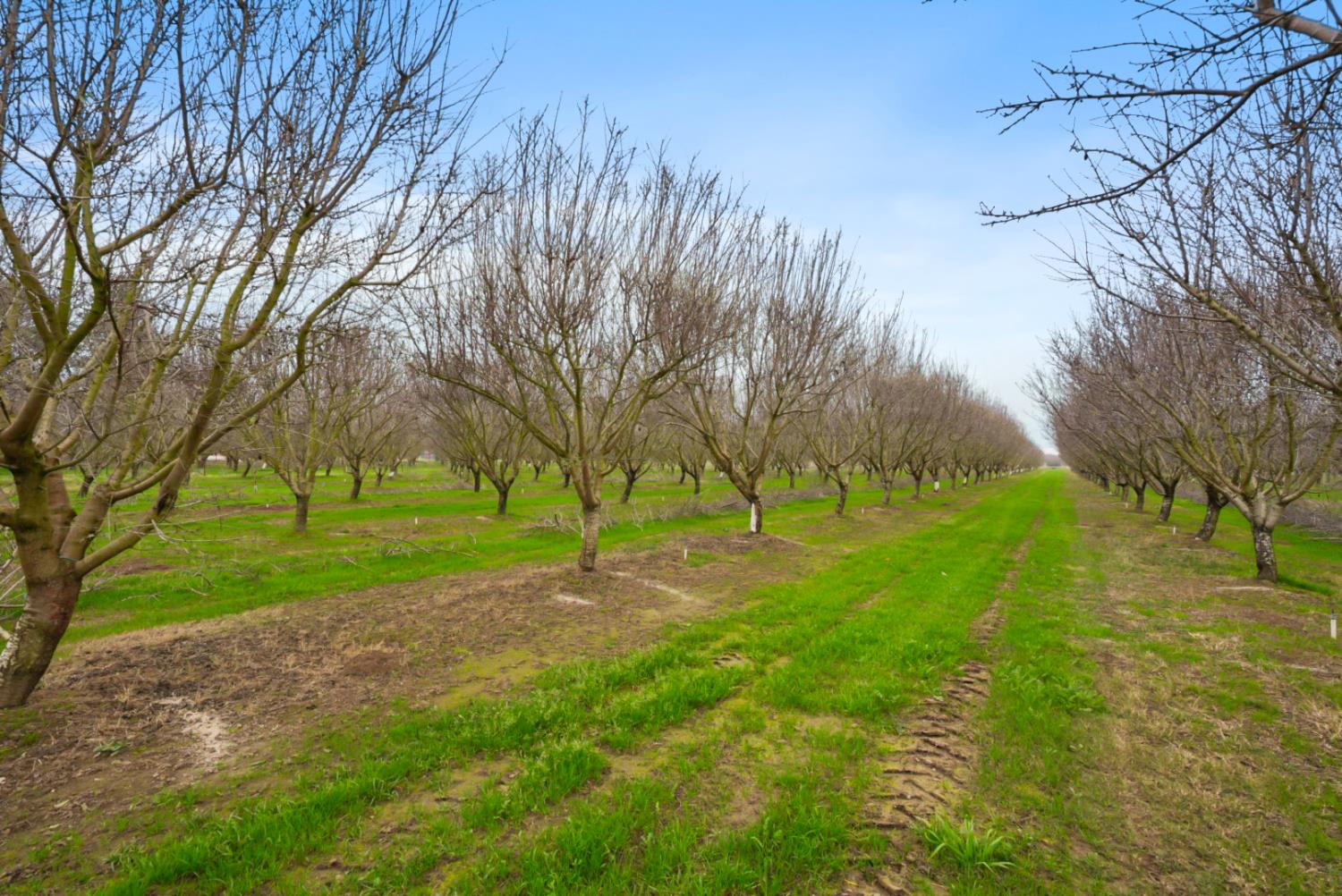 16221 Carrolton, Escalon, CA 95320