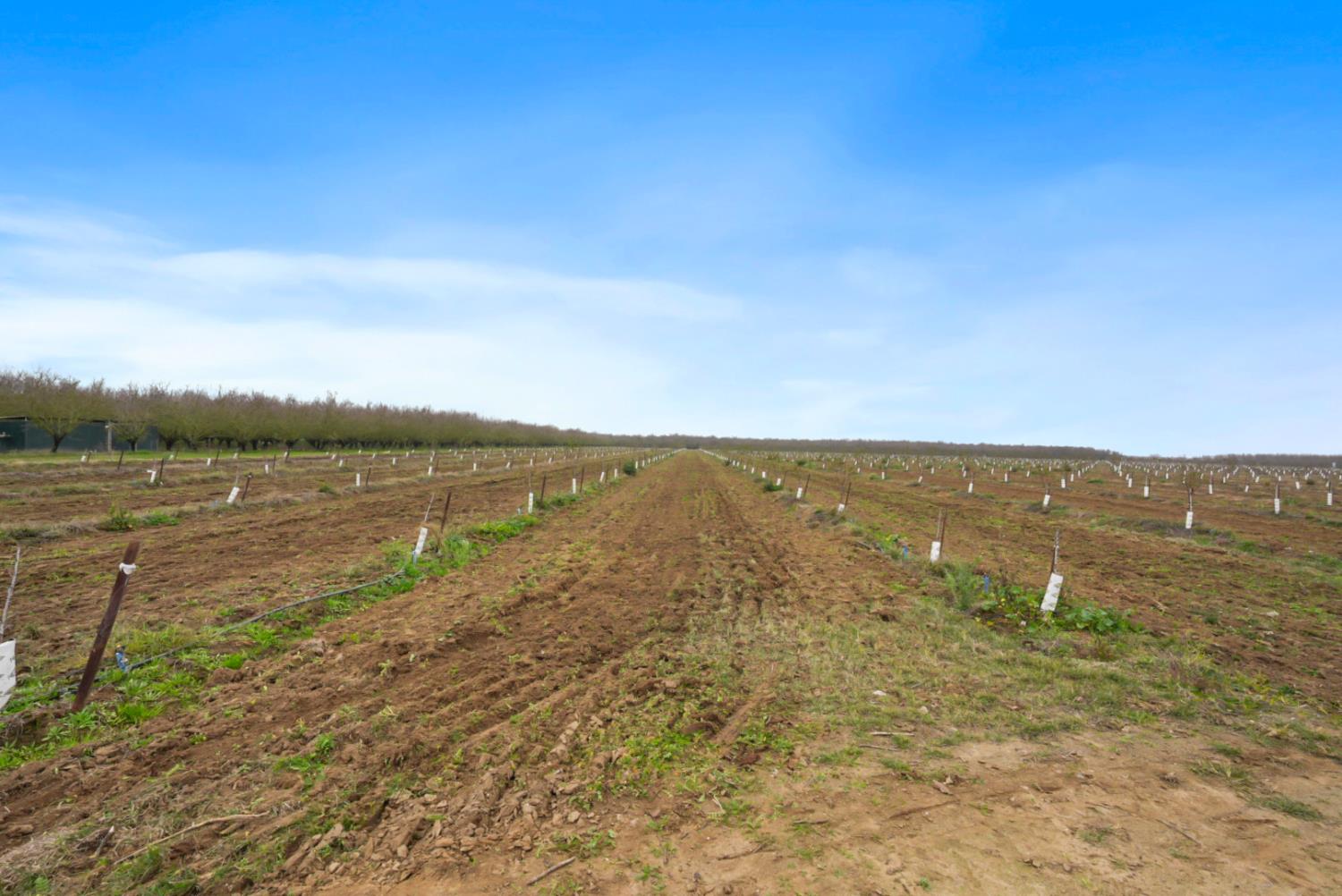 16221 Carrolton, Escalon, CA 95320
