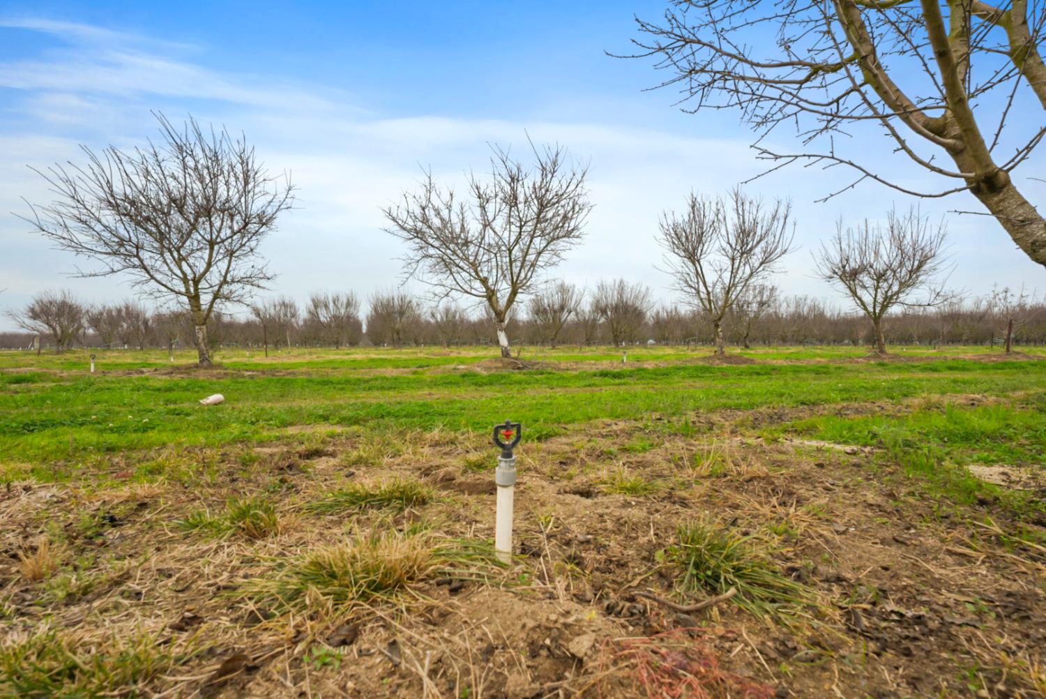 16221 Carrolton, Escalon, CA 95320