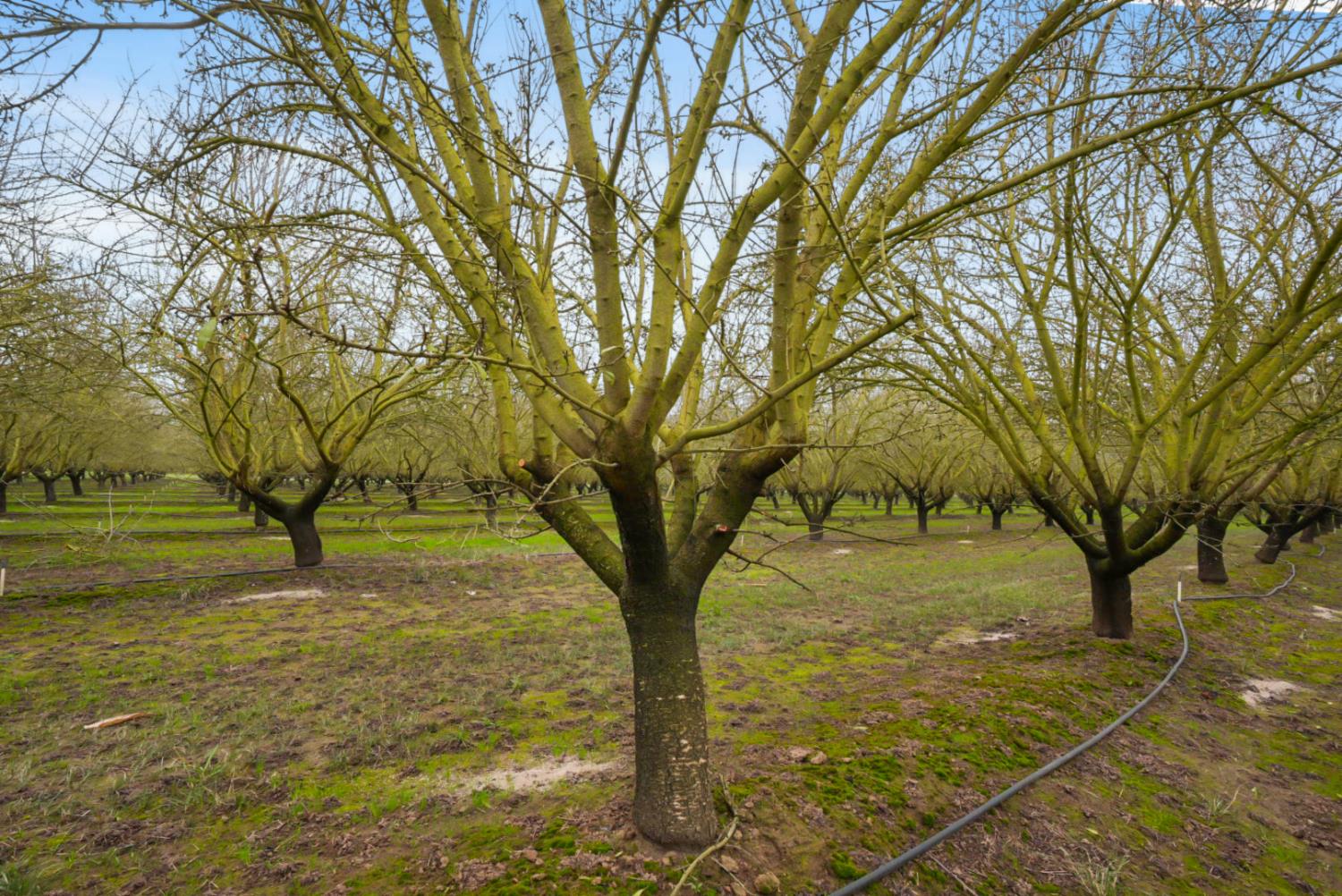 16221 Carrolton, Escalon, CA 95320