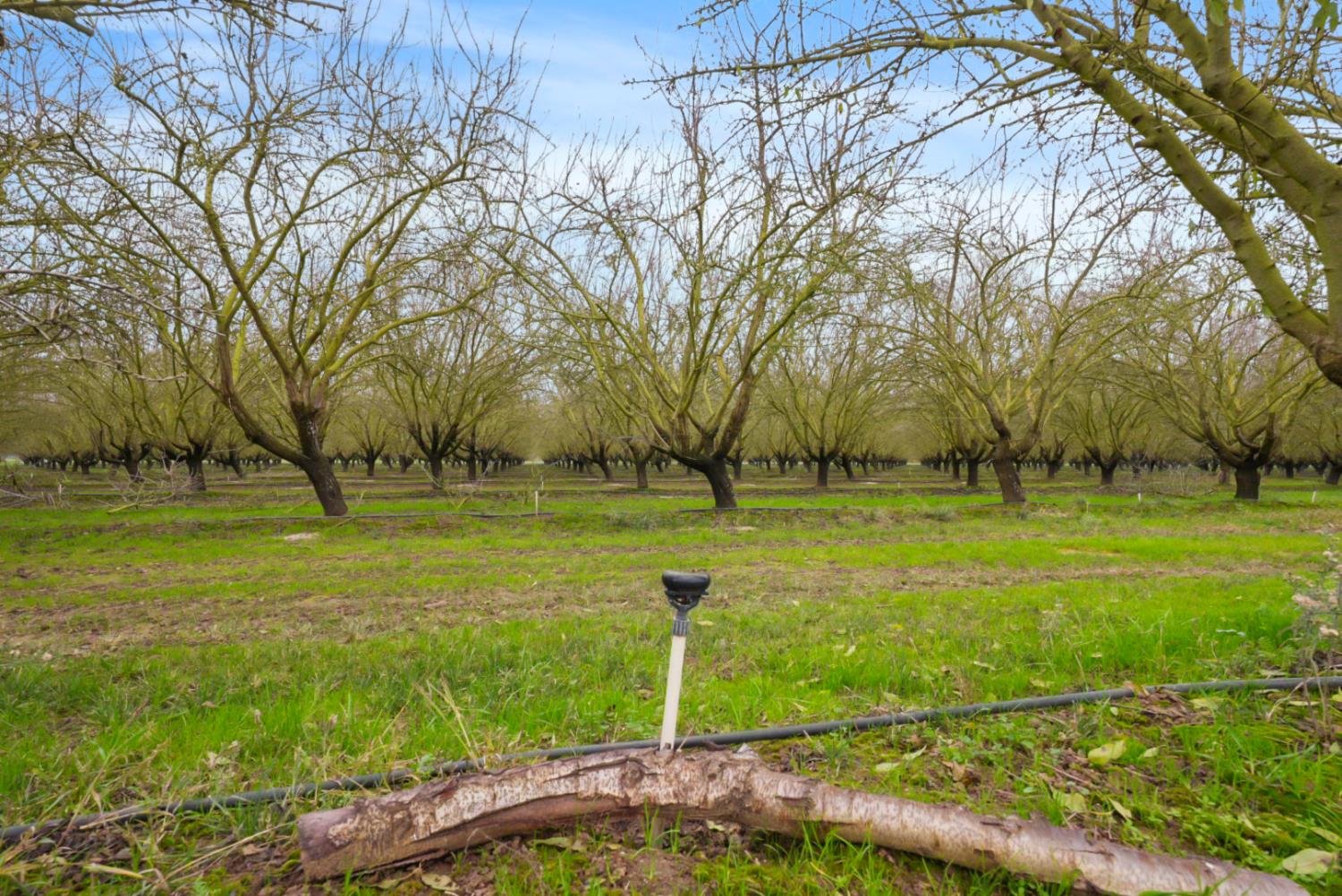 16221 Carrolton, Escalon, CA 95320