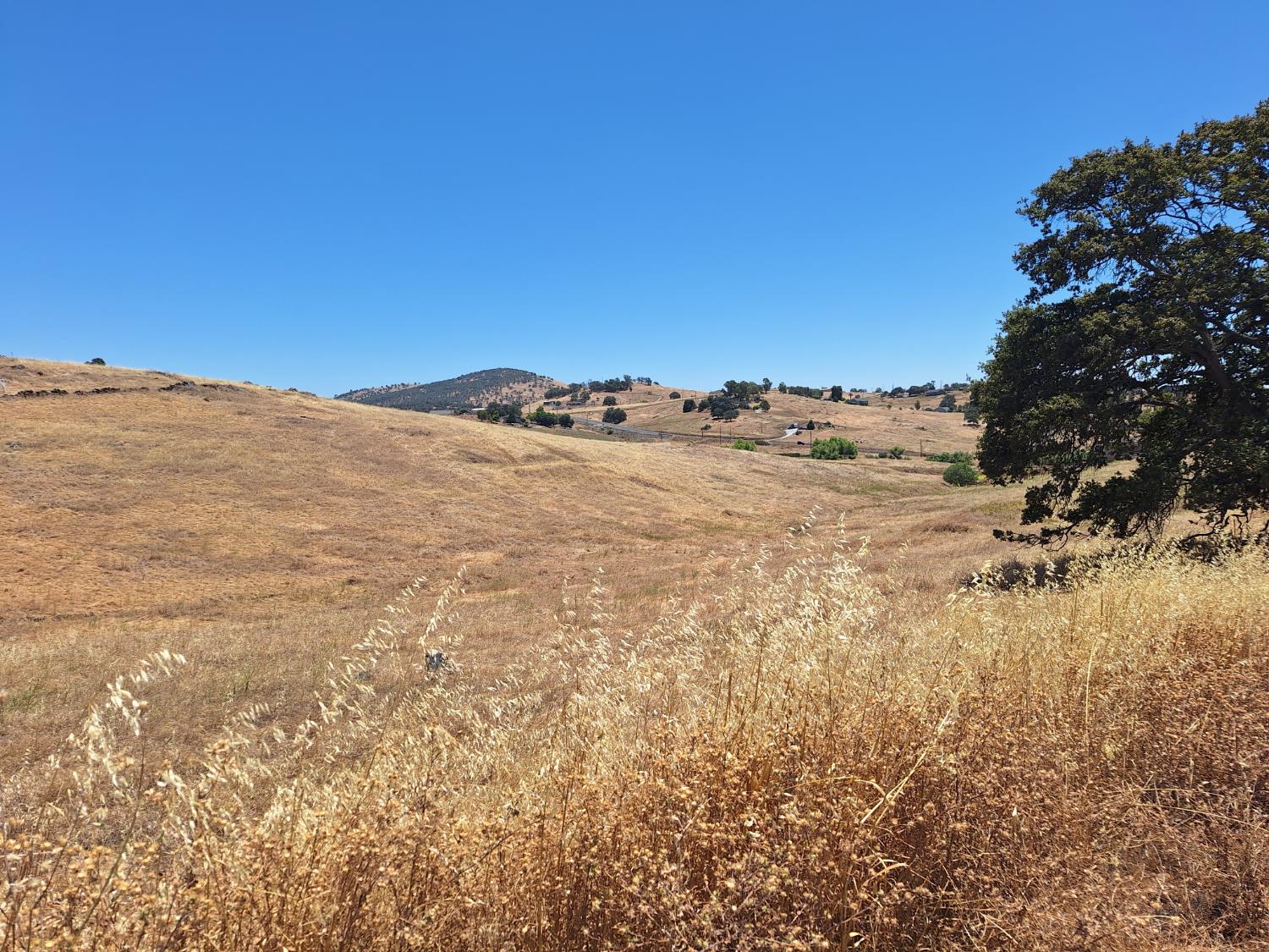 9650 Picadero Way, La Grange, CA 95329