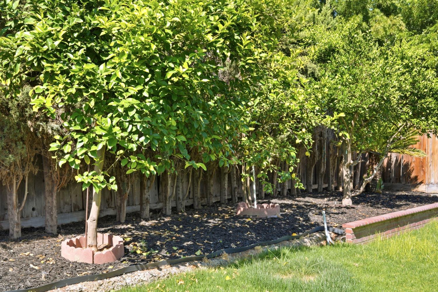 936 Oakbrooke Ct, Modesto, CA 95351