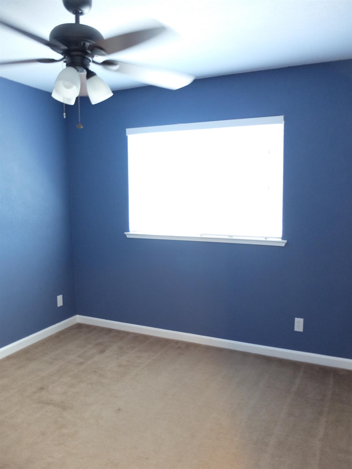 3304 Cardinal Flower Ave, Modesto, CA 95355