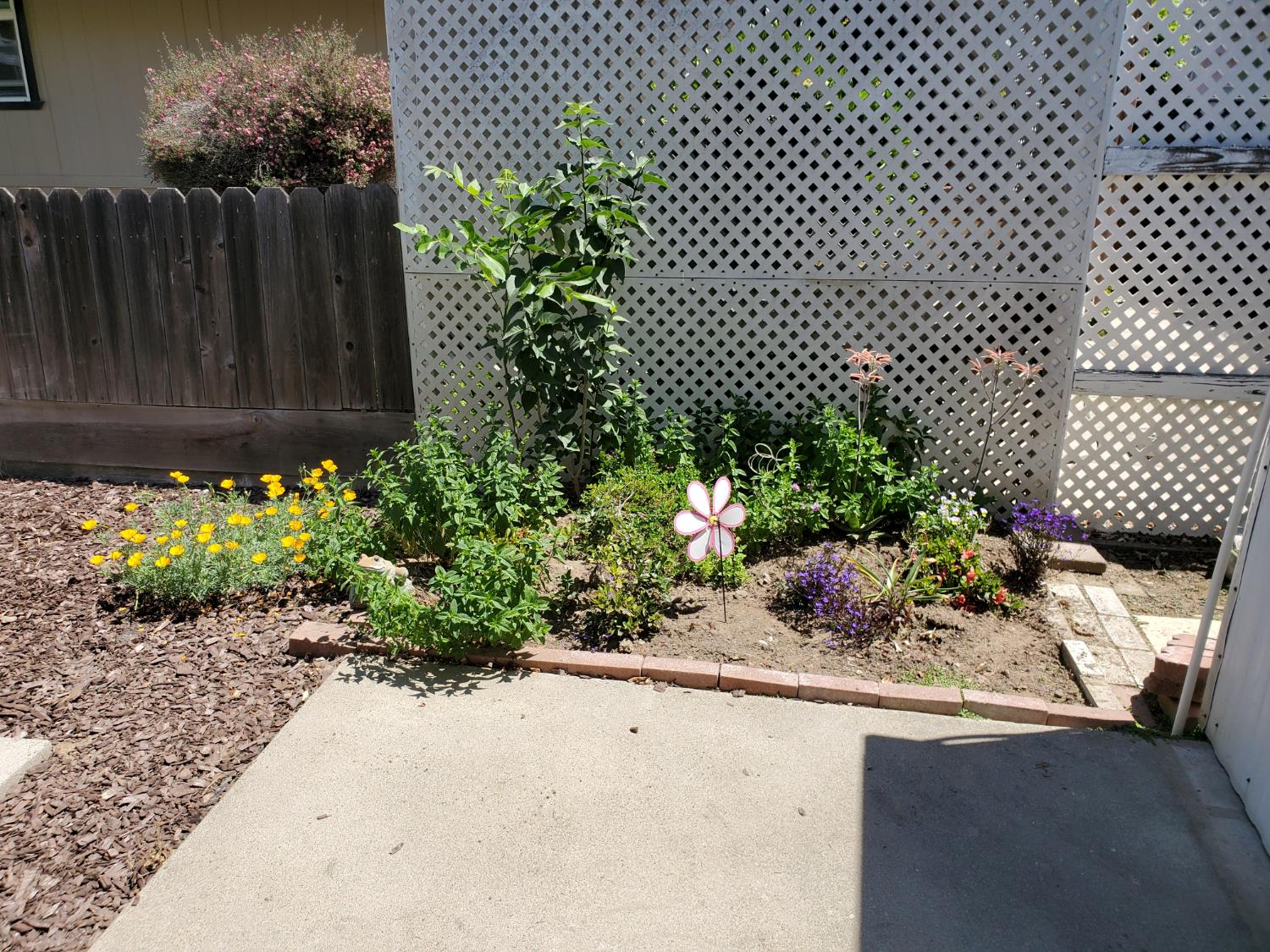 3824 Maui Terrace, Modesto, CA 95355