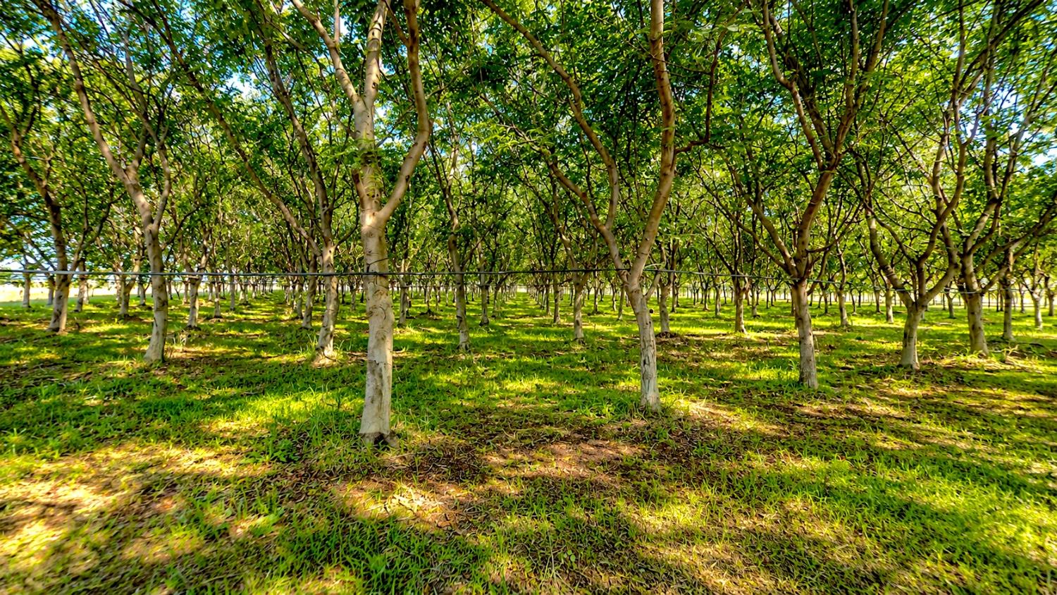 13626 W Harding Rd, Turlock, CA 95380