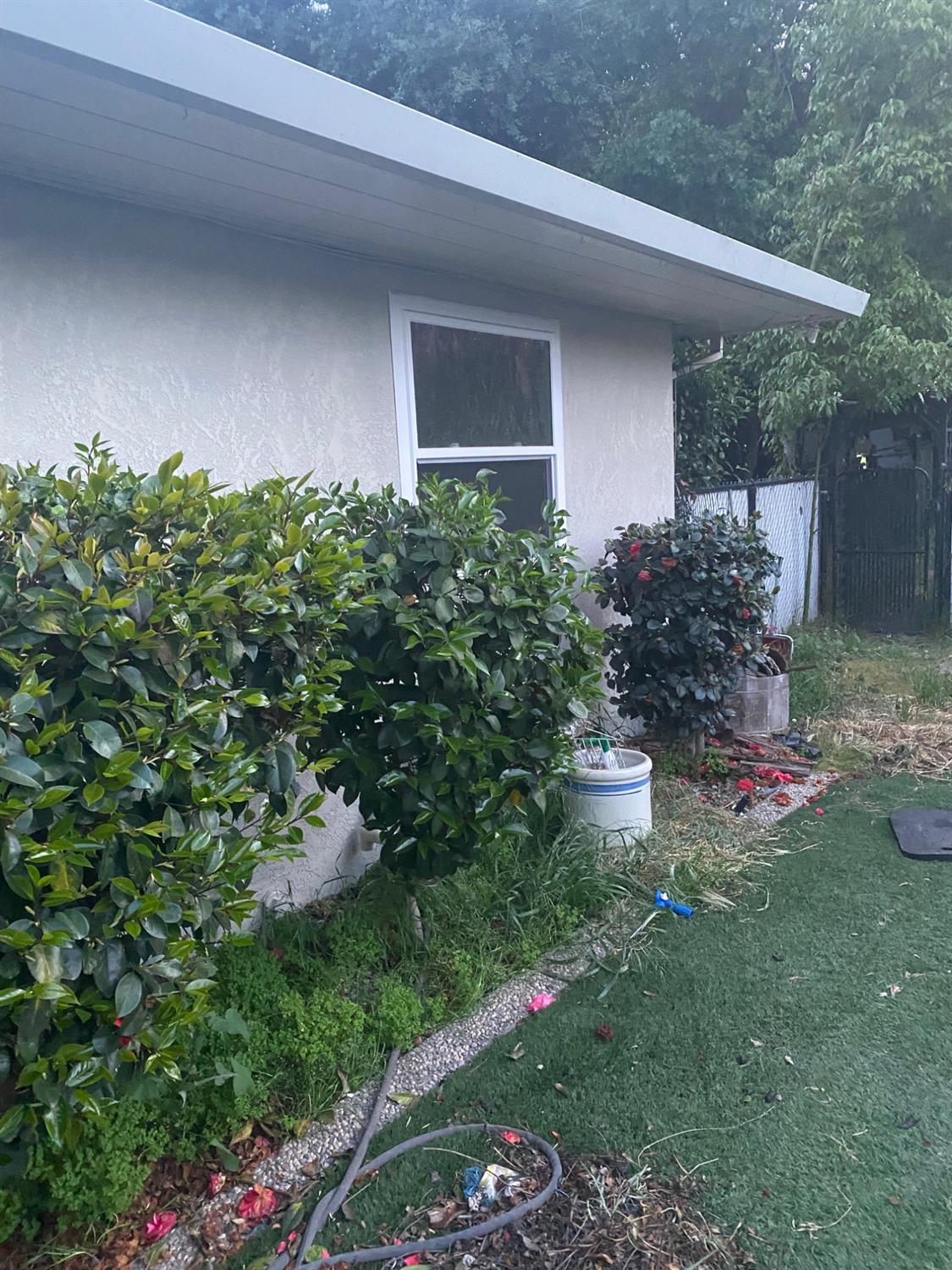 9901 Wild Oak Ct, Oakdale, CA 95361