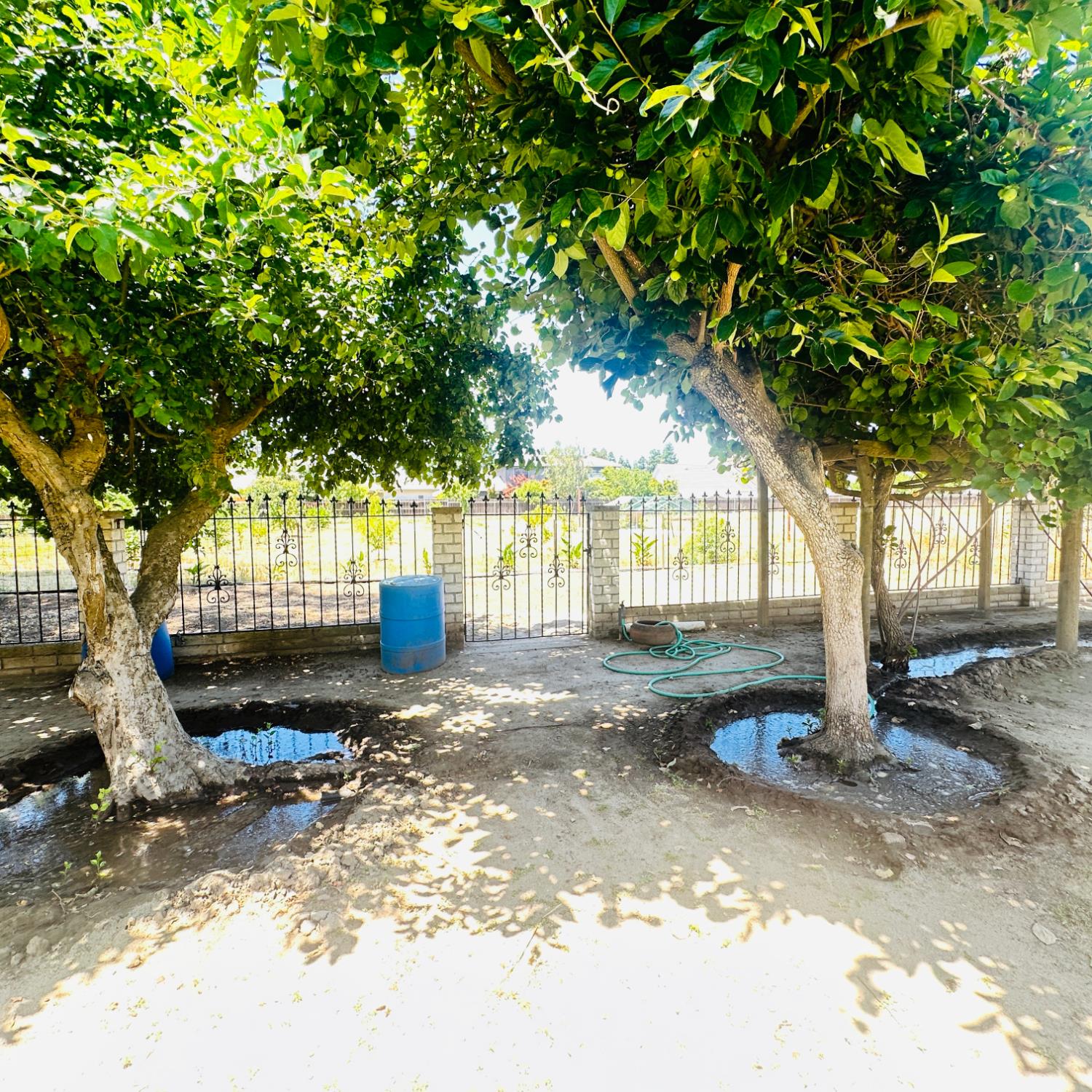 1633 Walnut, Escalon, CA 95320