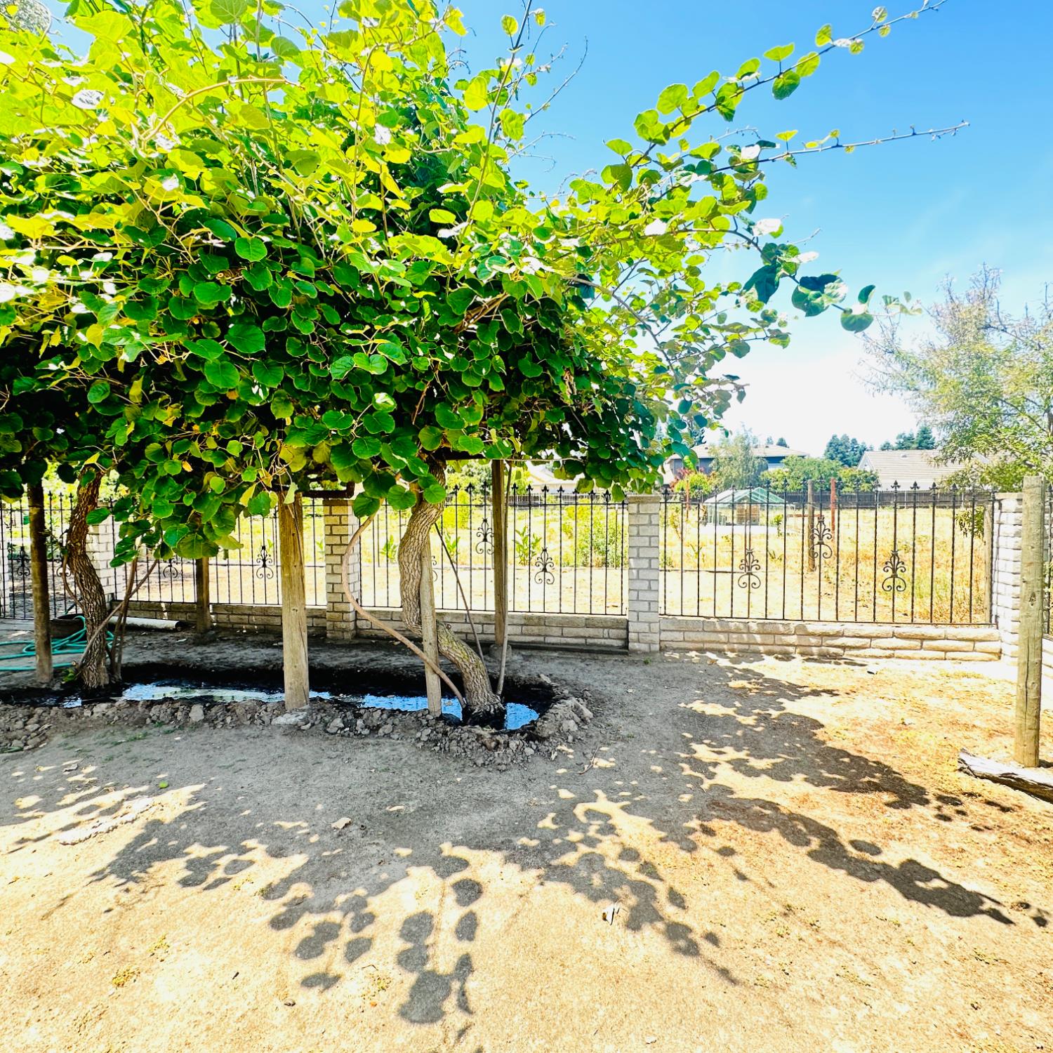 1633 Walnut, Escalon, CA 95320