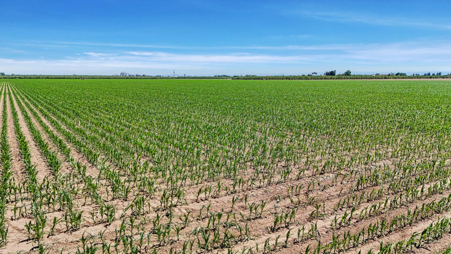 719 W Taylor Rd, Turlock, CA 95382