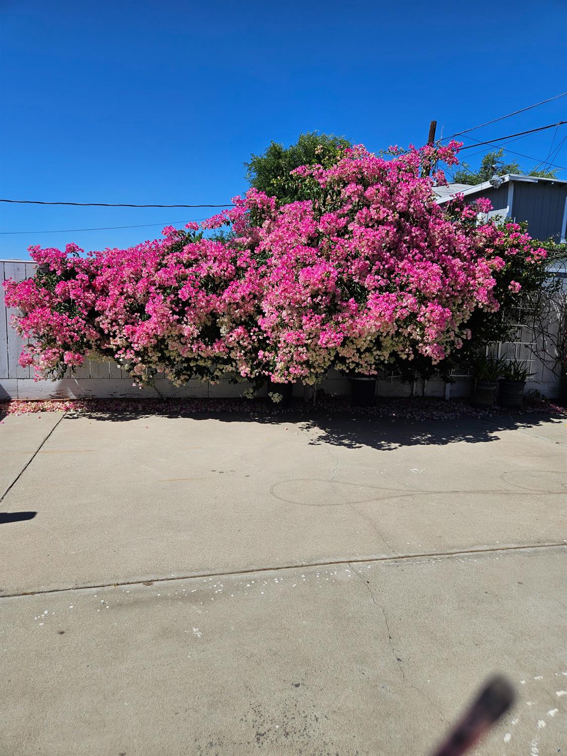 424 Poplar Ave, Manteca, CA 95336