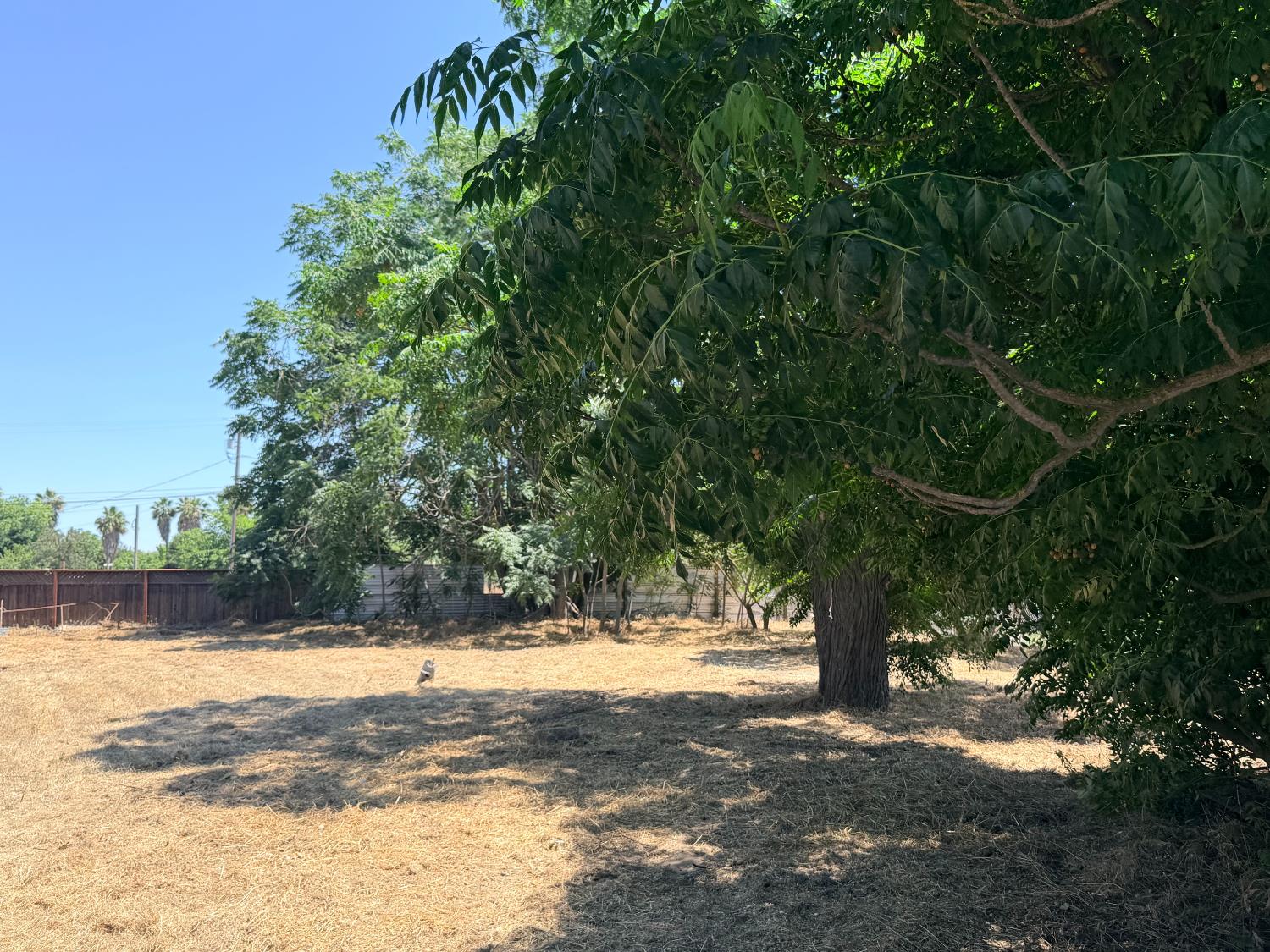 228 H St, Turlock, CA 95380