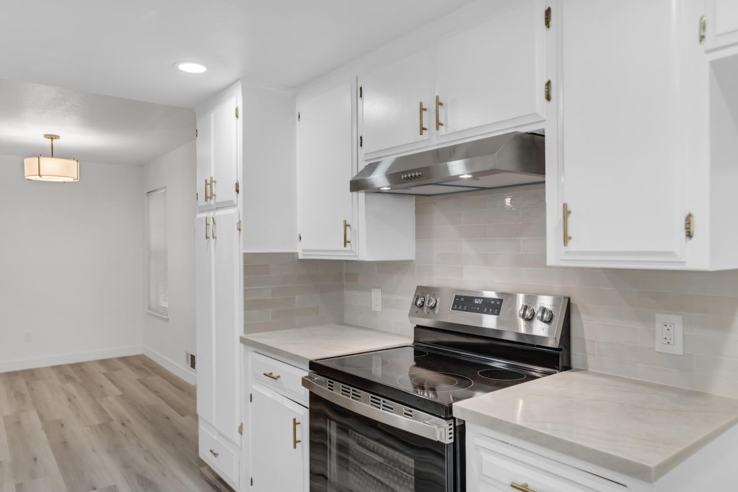 1413 Clovewood Ave, Modesto, CA 95355