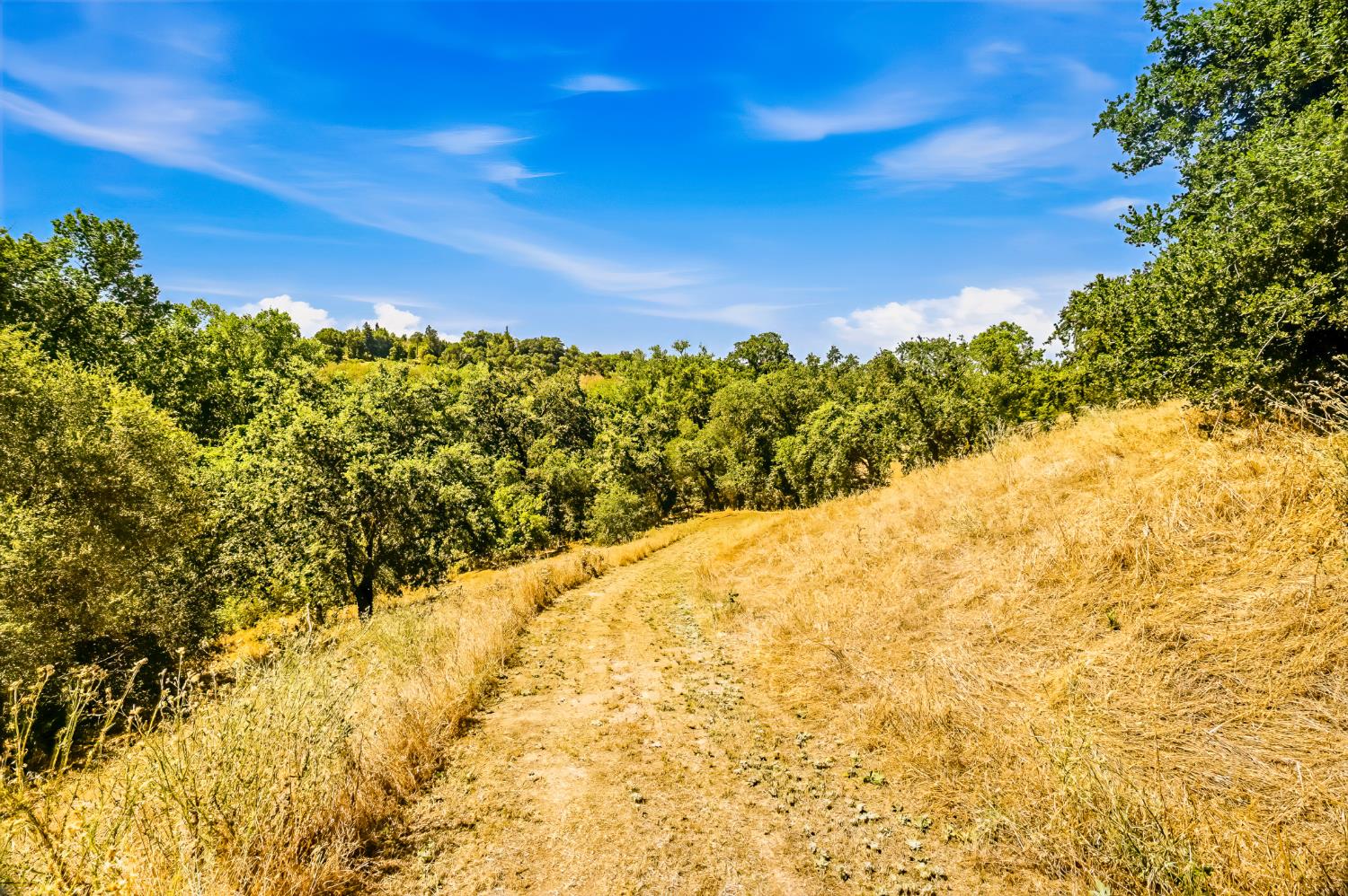 8918 Oak View Dr, Oakdale, CA 95361
