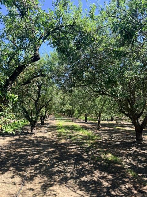 4331 4413 Service Rd, Ceres, CA 95307