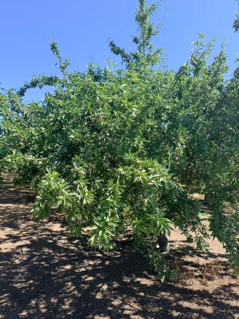 4331 4413 Service Rd, Ceres, CA 95307