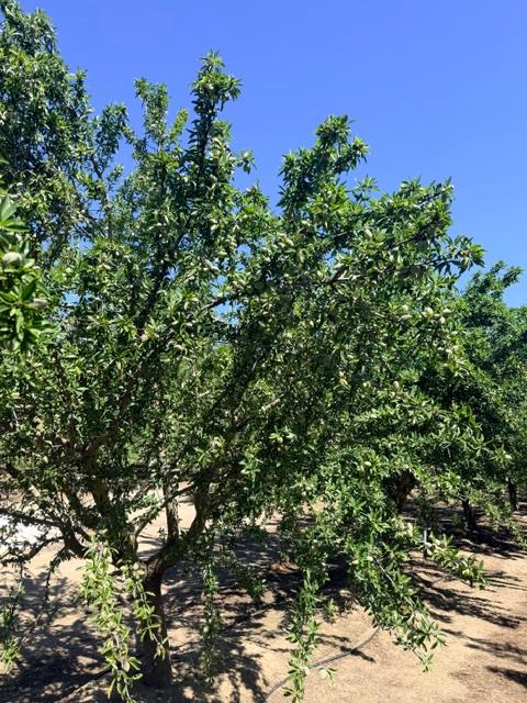 4331 4413 Service Rd, Ceres, CA 95307