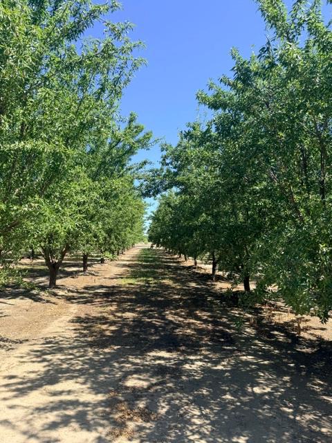 4331 4413 Service Rd, Ceres, CA 95307