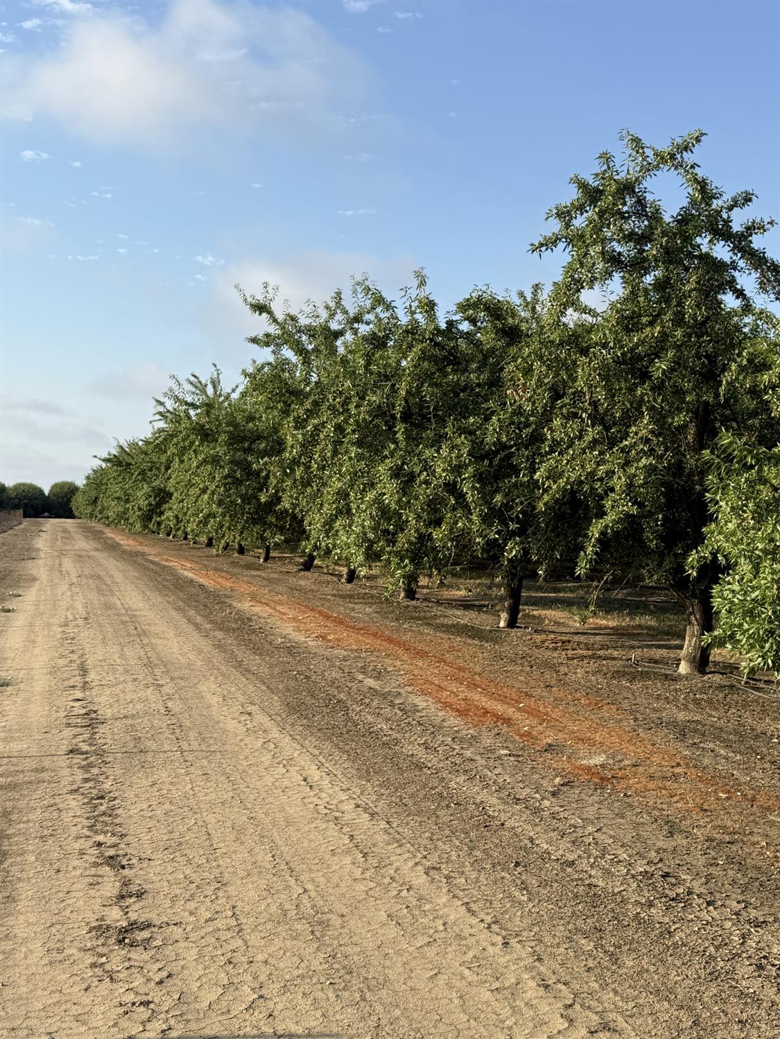 1660 Fruit Avenue, Patterson, CA 95363