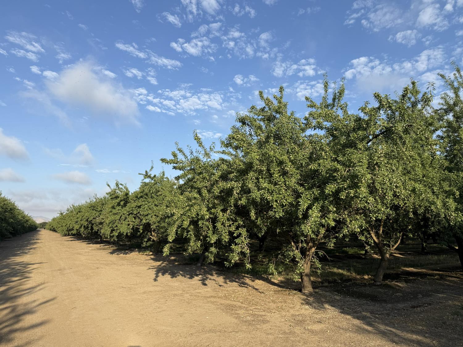 1660 Fruit Avenue, Patterson, CA 95363