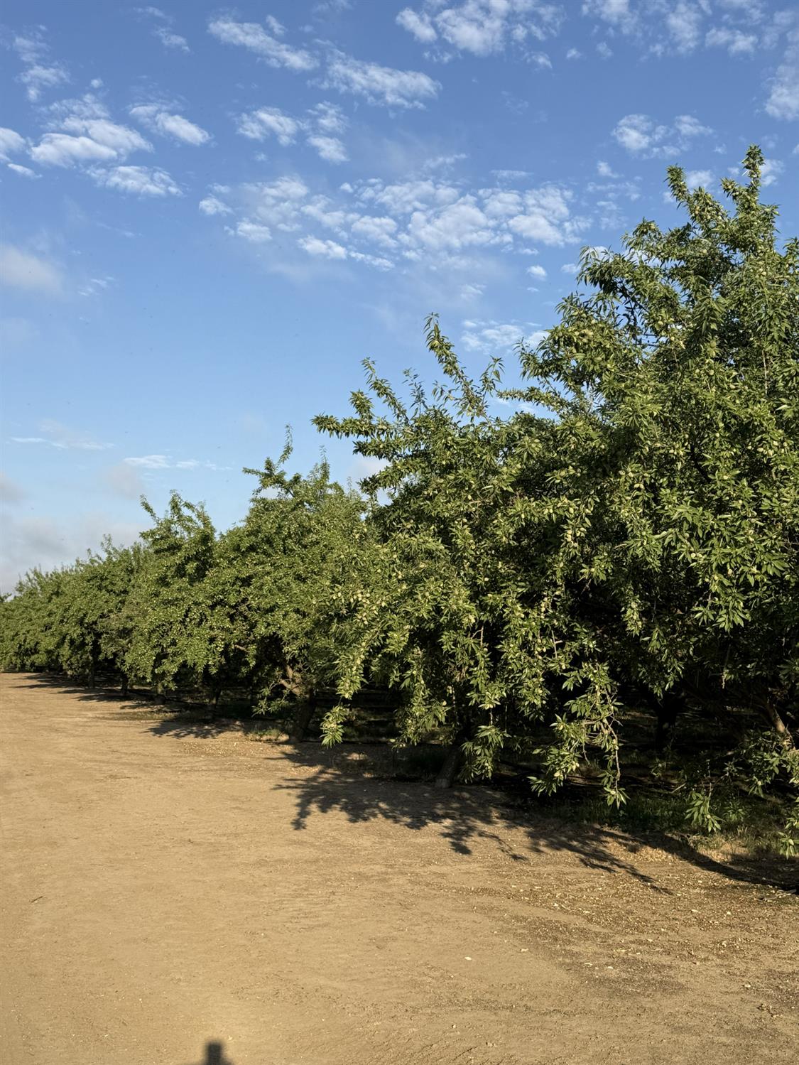 1660 Fruit Avenue, Patterson, CA 95363