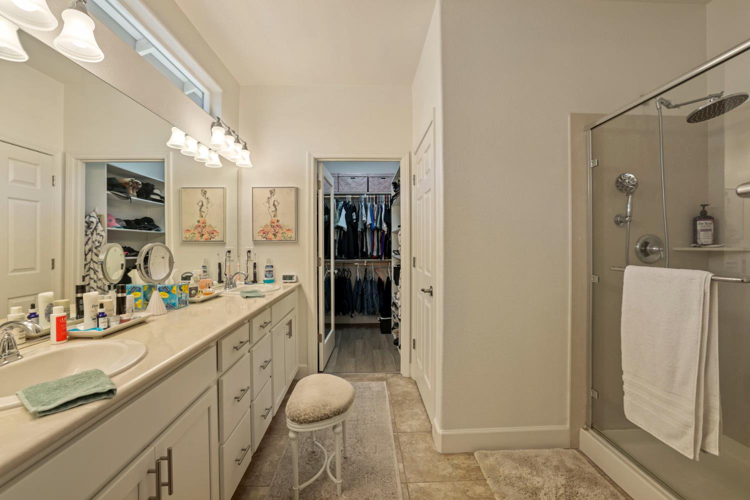 1577 River Birch St, Manteca, CA 95336