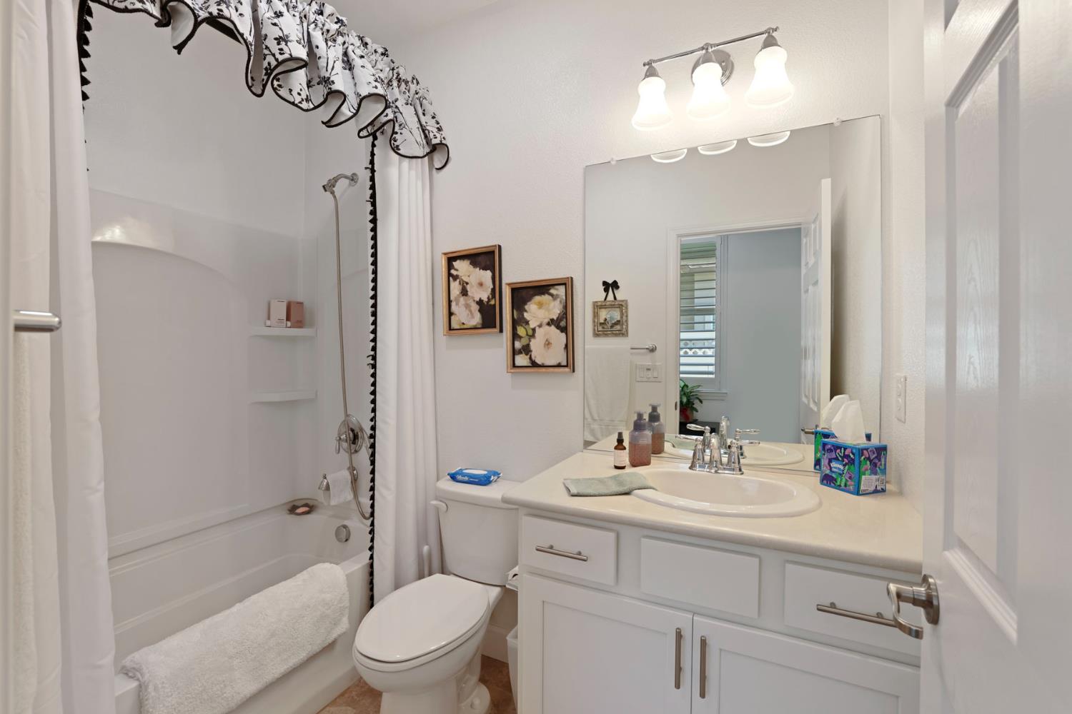 1577 River Birch St, Manteca, CA 95336