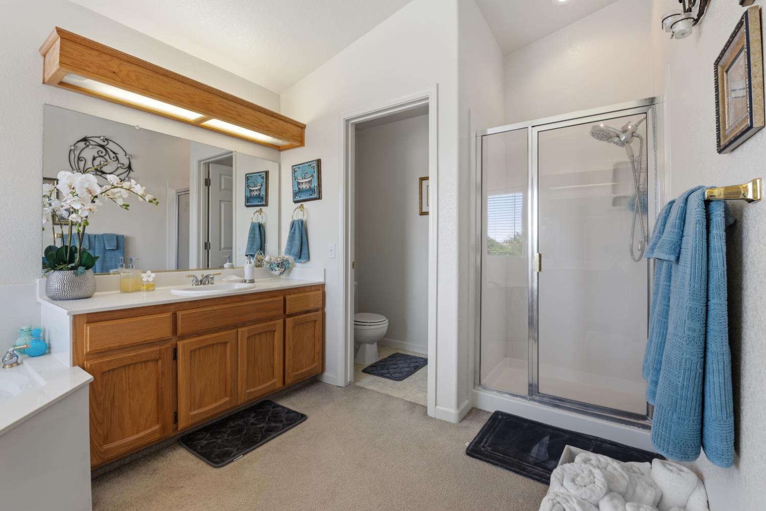 160 Grenache Ct, Los Banos, CA 93635