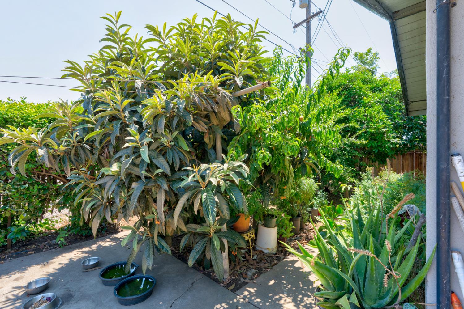 620 Lenore Dr, Modesto, CA 95351
