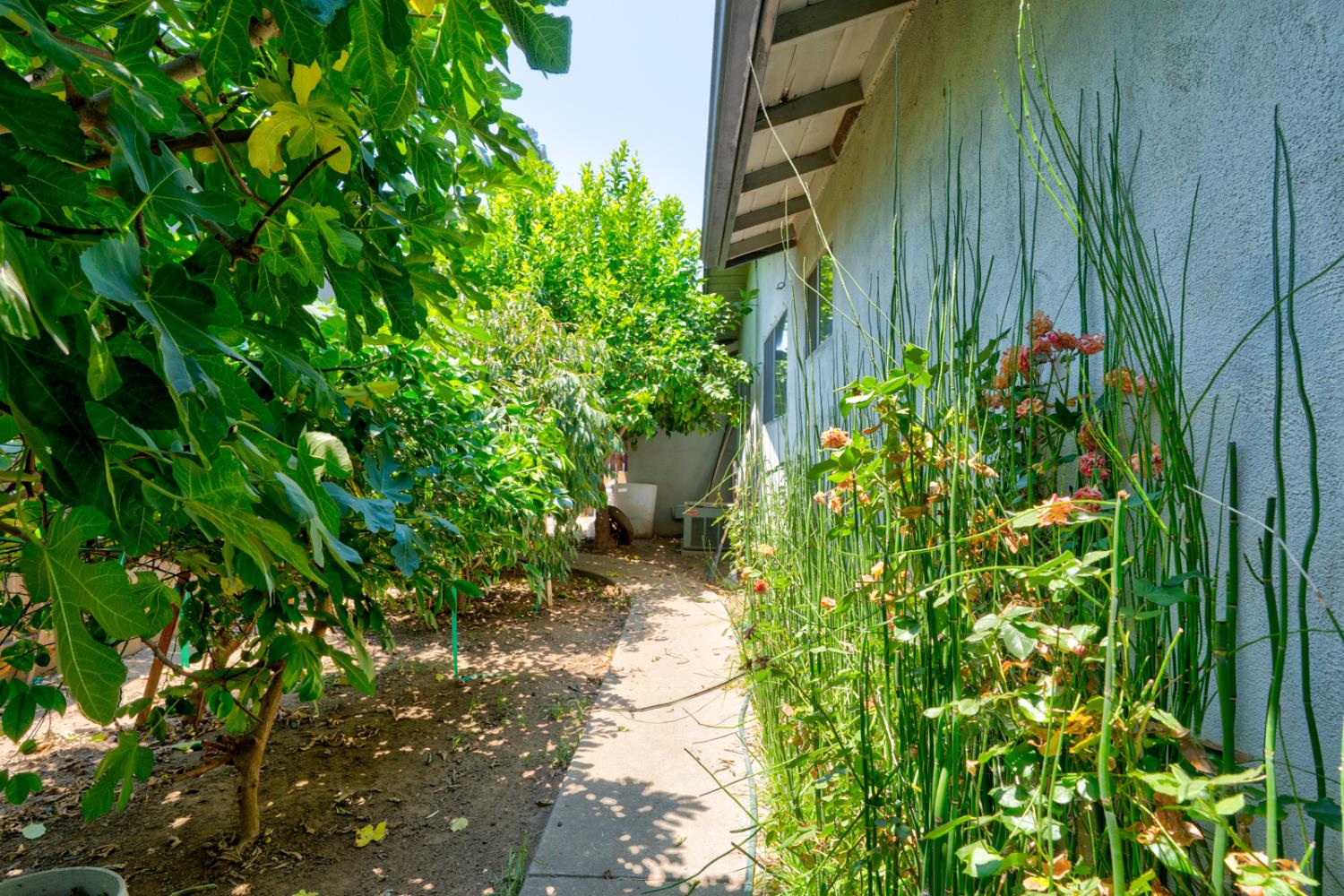620 Lenore Dr, Modesto, CA 95351