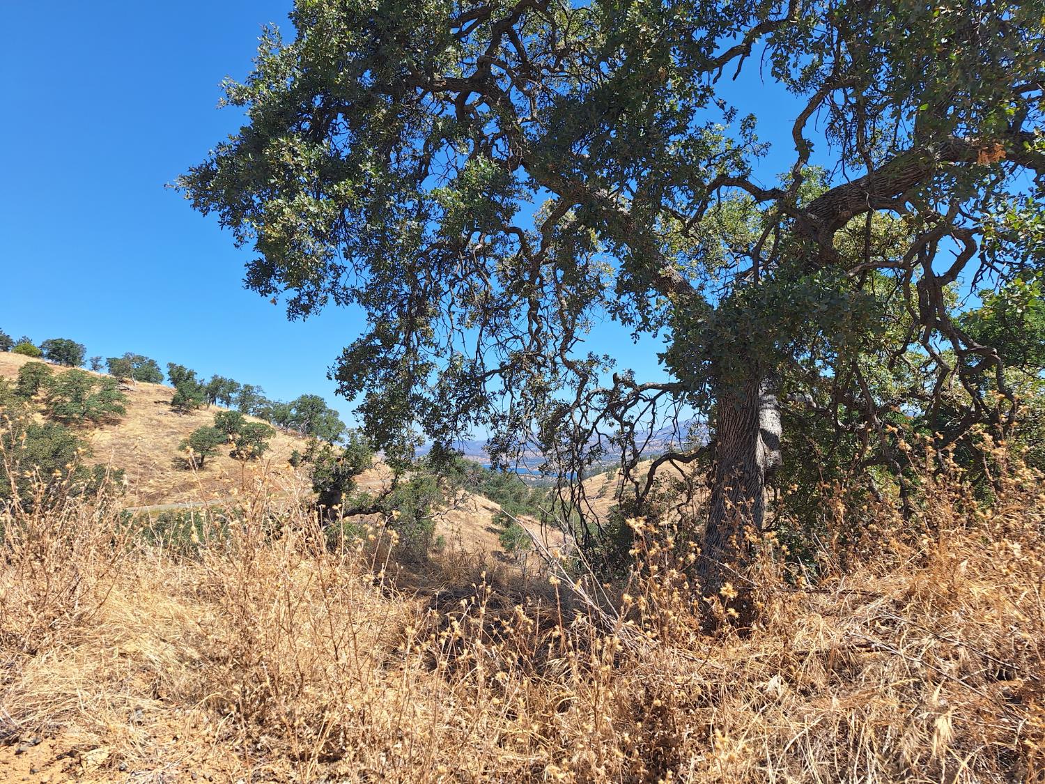 10100 Alamo Dr, La Grange, CA 95329