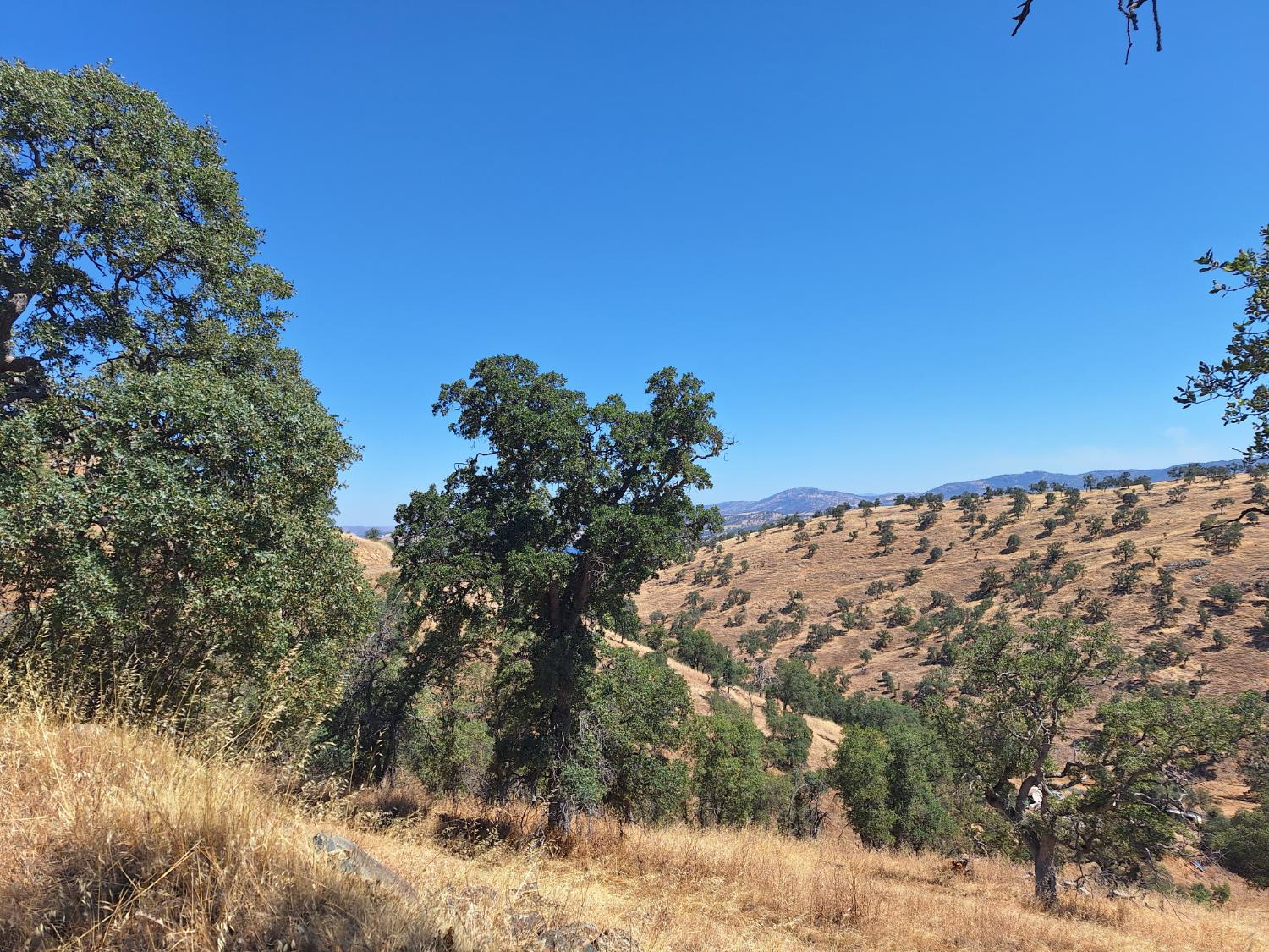 10100 Alamo Dr, La Grange, CA 95329